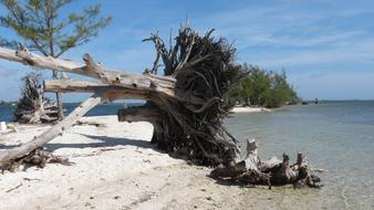 Beach Desert Island