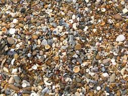 stone surface beach