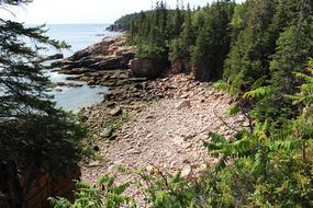 stone beach by the lake in the woods