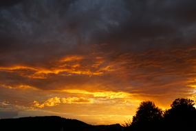 magnificent view of the sunset against the silhouette of the trees