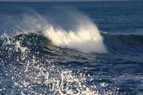 foamy big wave in the sea