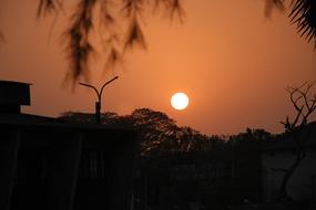 silhouette of trees against the sunset