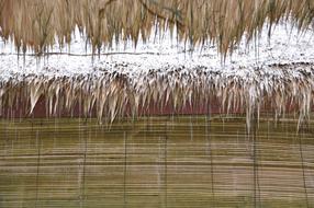 tropical dry grass on the roof