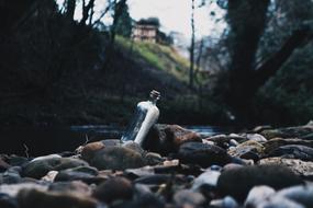 forgotten bottle in the rocks by the lake