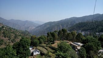 green trees view beautiful landscape