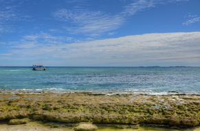 large landscape reef by the sea