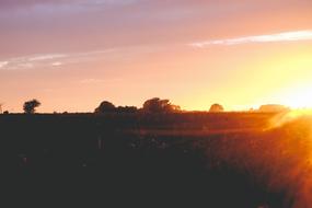 magnificent sunset over a beautiful field