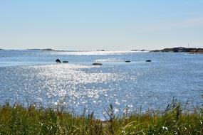 Glittering Sea Summer Solar