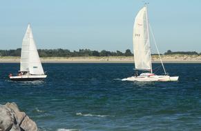 white sports boats on the river
