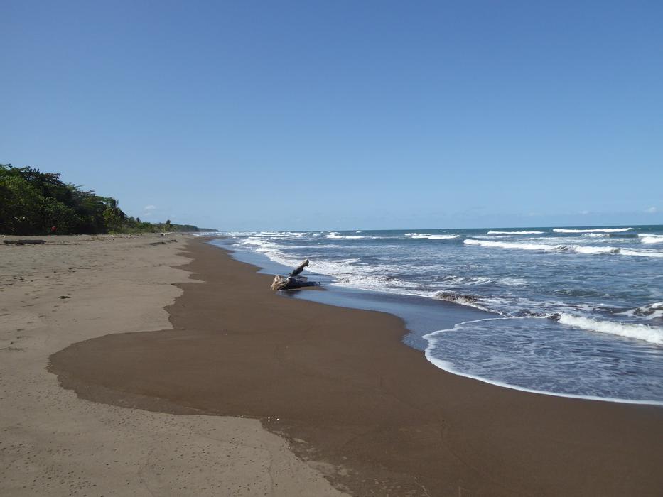 log on the sea beach