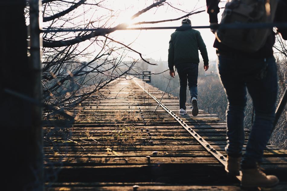 tourists on a bridge in the forest