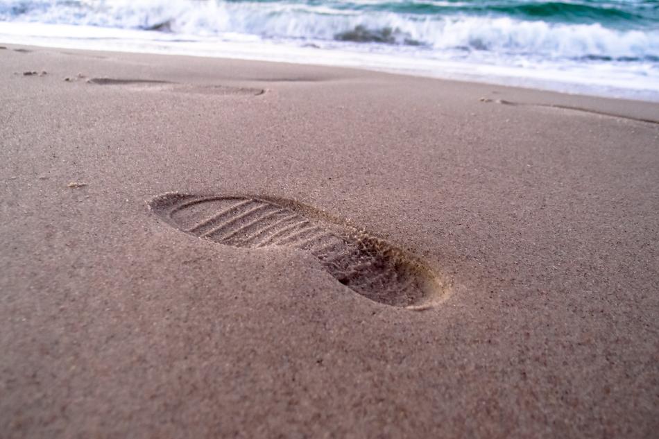 Beach Reprint Water
