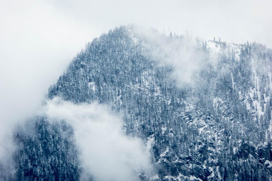 winter mountain top with the forest