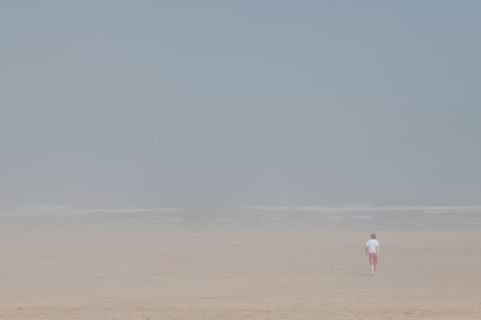 Mist Fog Beach