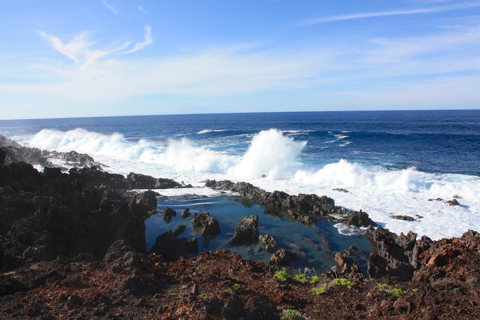 Surf Swell Wave