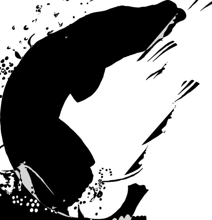 water fish jumping animal sea