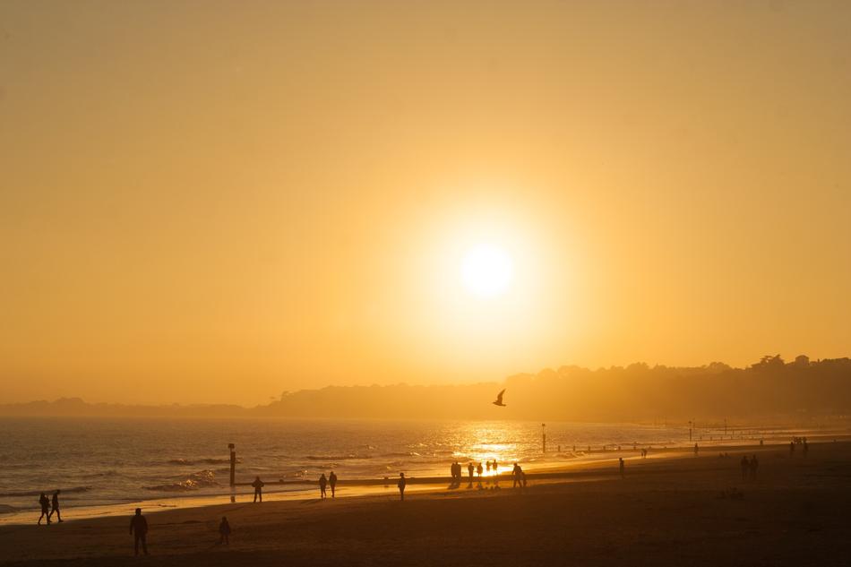 people walking on the beach in the sun