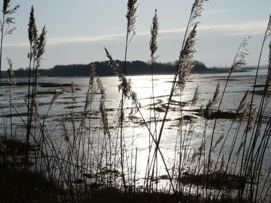Early Morning Scene Water Cams