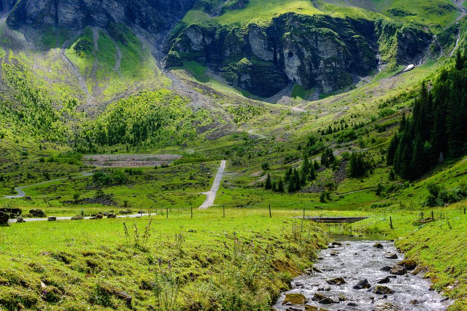 river flowing through the meadow