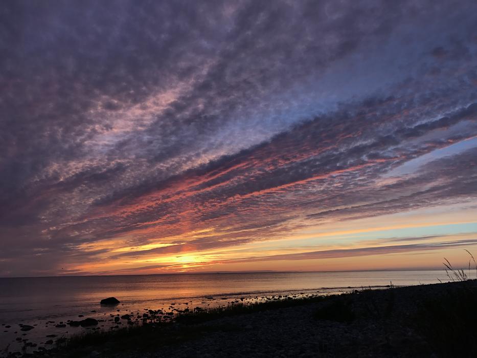 Sunset Gotland Summer