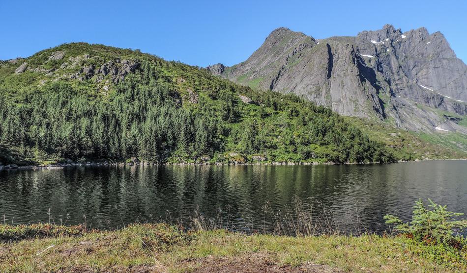Mountains Forest Lake