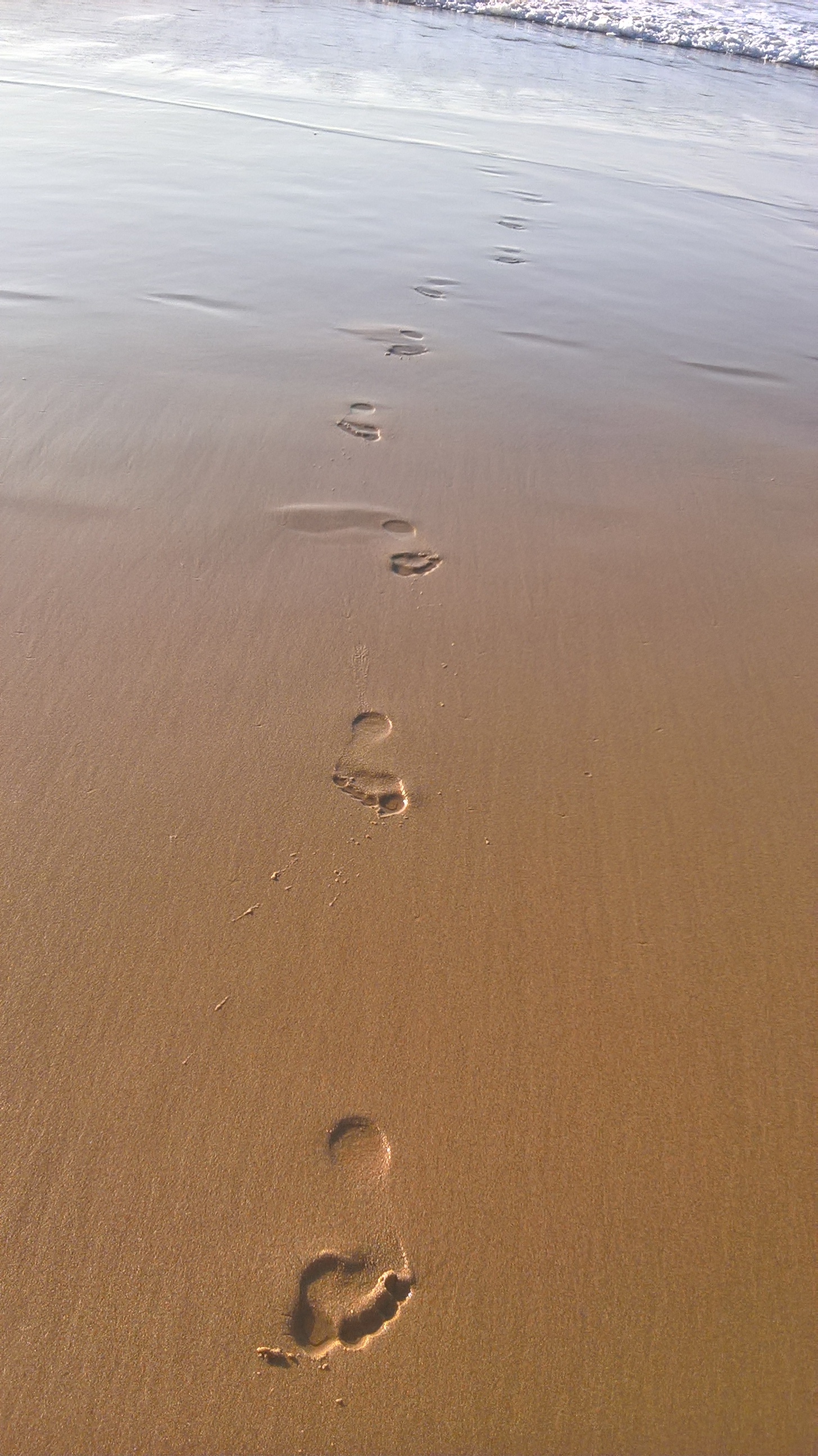 Footstep Beach free image download