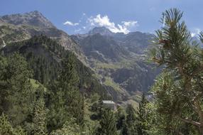 landscape on the forest in the mountains