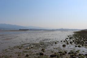 mud after the sea