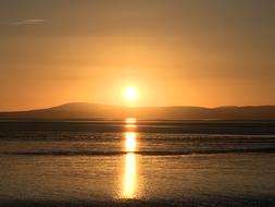 Sunset Yellow Nature