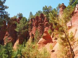 beautiful rocks with trees