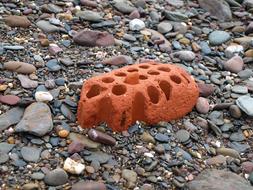red brick on the beach