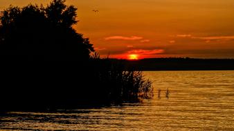 magnificent sunset by the trees
