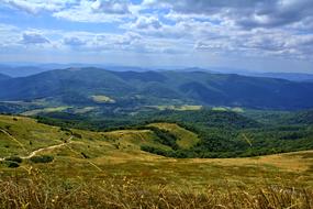 Bieszczady Tarnica Beech Berdo