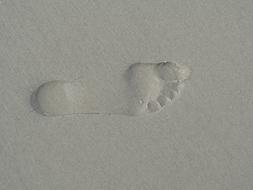 Footprint Barefoot Foot