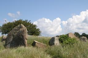 old stones in the grass