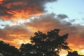 beautiful yellow sky in the clouds