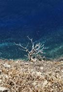 Atlantic Water Sea