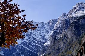tree crown with brown foliage at scenic mountains, autumn Landscape