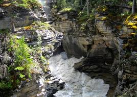Athabasca Falls on Rocky Mountain, canada