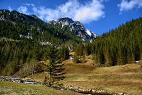 Tatry Koscieliska Valley Winter