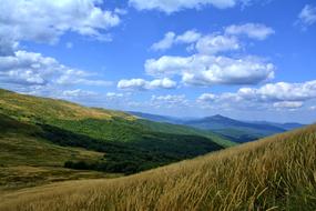 Bieszczady Tarnica Beech Berdo