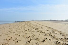 Horse Tracks on sand Beach at north sea