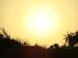 Sun Sunset Yellow