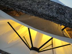 umbrella lamp beach