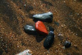 black and red pebbles on brown sand