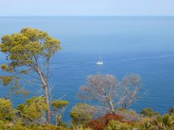 floating boat in the distance at sea