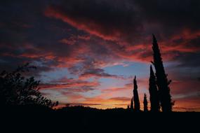 A beautiful sunset in the sky against a background of plants