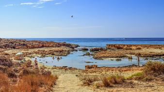 Beach Cove Coast