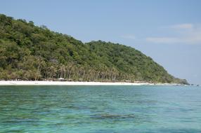 Tropical beach by the ocean