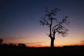Sunset Branch